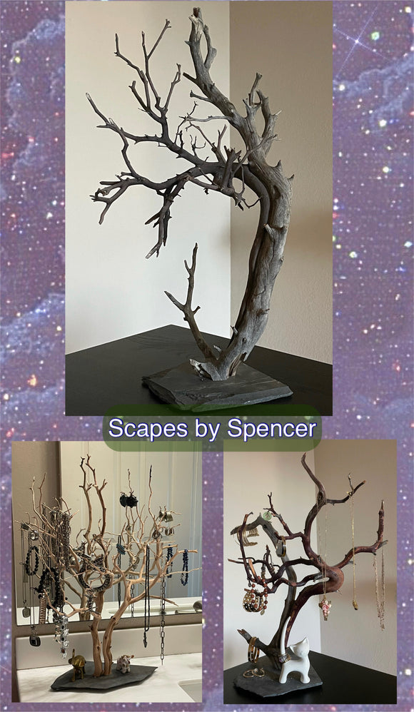 Scapes By Spencer
